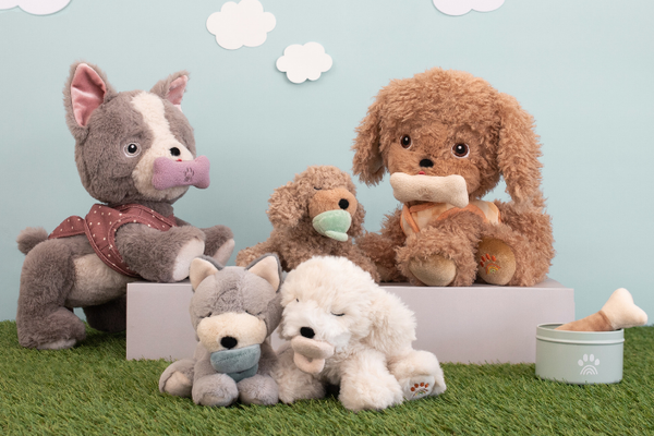 Vet Pretend Play Ideas for Kids