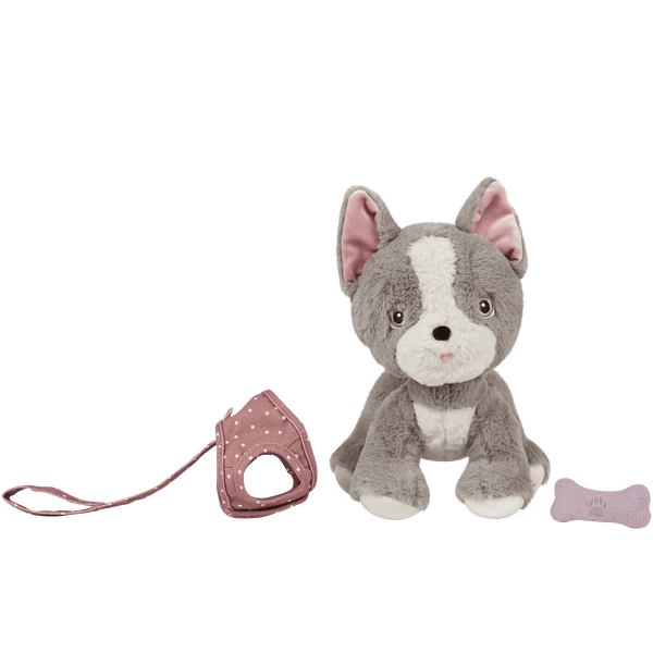 Dinkum Dogs - Gizmo