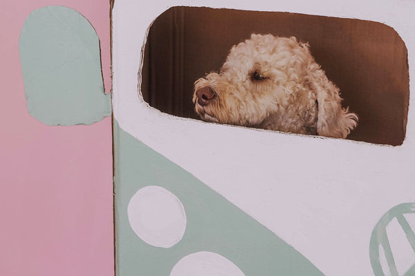 DIY | Cardboard Kombi