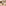 collections/4f9b13a28c0e2cbddc8ac9f259cdee94.jpg - Oliliella