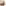 collections/ed0f8aff3f5b80eafae953078b9f226f.jpg - Oliliella
