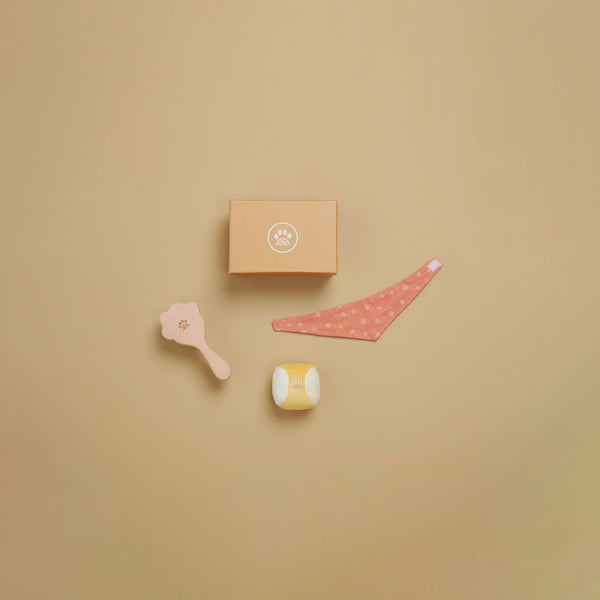 Dinkum Dog Sets - Starter Set