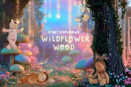 Fantasy forest scene with colorful mushrooms and creatures, featuring the text 'Start exploring Wildflower Wood'. Dinkum Dolls