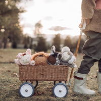 Collectable snuggly soft plush koala toy. Made for snuggles and bedtime for babies and kids.