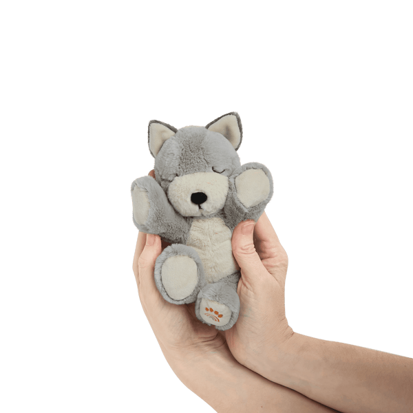 Binky Puppy - Banjo