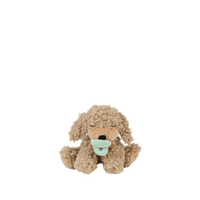 Binky Puppy - Benny