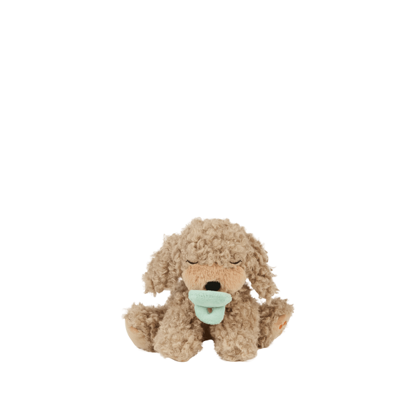Binky Puppy - Benny