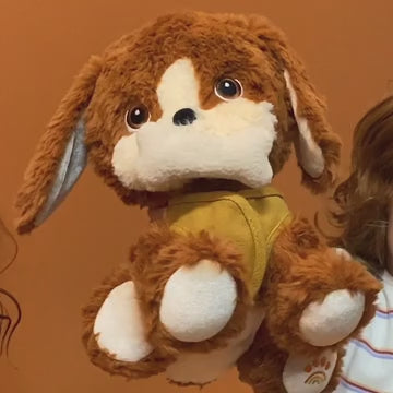 Dinkum Dogs - Buddy video