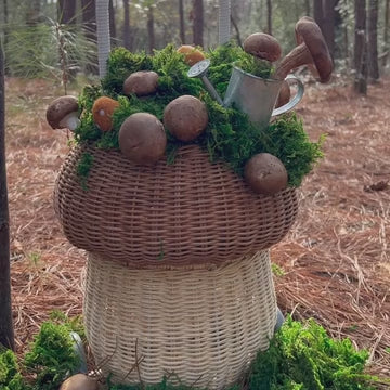 Rattan Mushroom Luggy - Natural video