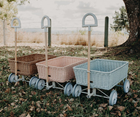 Dinkum Dolls Wonder Wagon