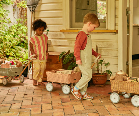 Dinkum Dolls Wonder Wagon