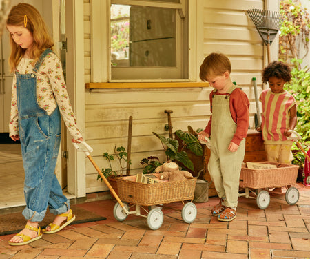 Dinkum Dolls Wonder Wagon